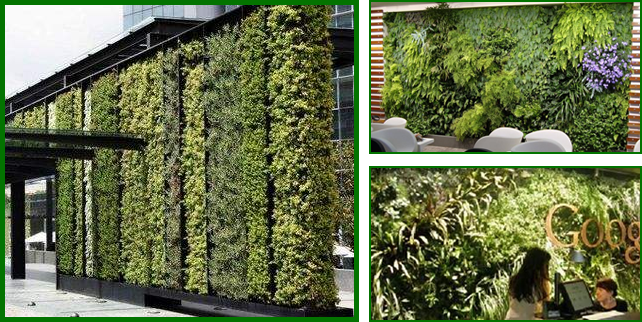 立綠植物墻 立綠植物墻