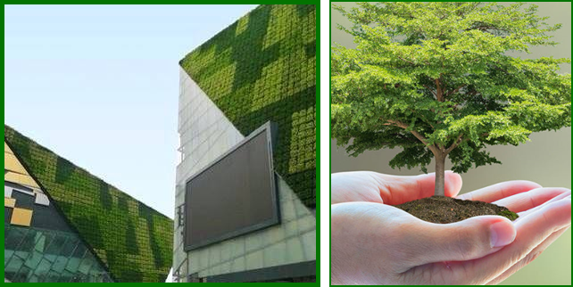 廣東植物墻 廣東植物墻
